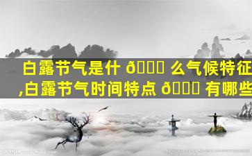 白露节气是什 🕊 么气候特征,白露节气时间特点 🍀 有哪些